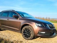 Gebraucht Skoda Octavia Drive 150 PS (110 kW) 2017 Braun Kombi