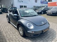 gebraucht VW Beetle NewCabriolet 1.6 United*SHZ*