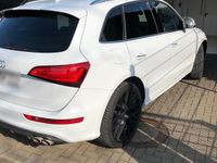 Gebraucht Audi SQ5 313 PS (230 kW) 2015 Weiß SUV