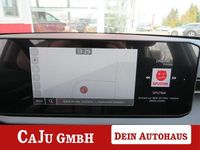 Neu Kia Stonic 101 PS (74 kW) 2026 Weiß SUV