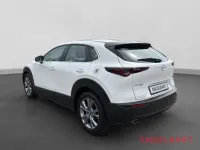 Gebraucht Mazda CX-30 Selection 122 PS (89 kW) 2023 Weiss SUV