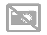 Gebraucht Ford Puma ST-Line X 155 PS (114 kW) 2020 Obsidianschwarz metallic Coupé