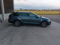 gebraucht Skoda Octavia Scout 4motion DSG 2.0TDI AHK ACC Pano LED StHz