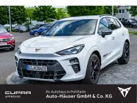 Gebraucht Cupra Terramar 204 PS (150 kW) 2026 Weiss SUV