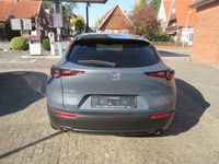 Gebraucht Mazda CX-30 122 PS (89 kW) 2024 SUV