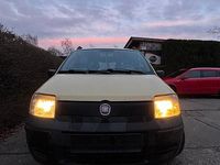 Gebraucht Fiat Panda 55 PS (40 kW) 2009 Gelb Kleinwagen