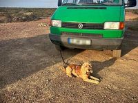 Gebraucht VW Transporter 1995 Grün Van