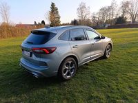 Gebraucht Ford Kuga ST-Line 186 PS (136 kW) 2024 Grau SUV