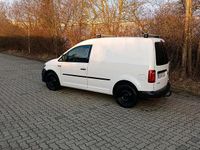 Gebraucht VW Caddy 110 PS (80 kW) 2016 Weiß Van / Kleinbus