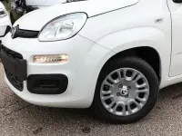 Neu Fiat Panda 69 PS (50 kW) 2025 Gelato weiß gelato weiß Kleinwagen