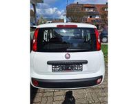 Gebraucht Fiat Panda Easy 69 PS (50 kW) 2017 Colore esterno (weiss) Kleinwagen