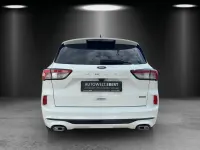 Gebraucht Ford Kuga ST-Line 224 PS (164 kW) 2021 Weiß SUV