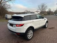 Gebraucht Land Rover Range Rover evoque HSE 150 PS (110 kW) 2017 Weiß SUV