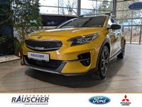 Gebraucht Kia XCeed Launch Edition 204 PS (150 kW) 2019 Gelb (quantumgelb metallic) SUV