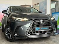 Gebraucht Lexus NX350h Business Edition 243 PS (178 kW) 2022 Grau SUV