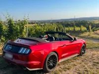 Gebraucht Ford Mustang GT 421 PS (309 kW) 2017 Rot Cabrio