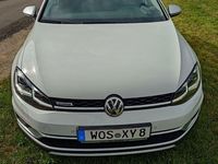 Gebraucht VW Golf Alltrack 184 PS (135 kW) 2020 Weiß Kombi