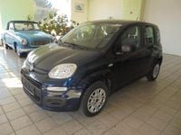 Gebraucht Fiat Panda Easy 69 PS (50 kW) 2019 Blau Kleinwagen