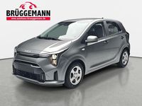 Neu Kia Picanto 68 PS (50 kW) 2025 Grau Kleinwagen