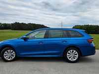 Gebraucht Skoda Octavia Selection 150 PS (110 kW) 2025 Blau Kombi