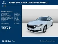 Gebraucht Skoda Octavia Selection 150 PS (110 kW) 2025 Moonweiss metallic Kombi