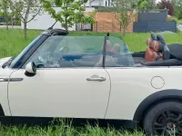 Gebraucht Mini Cooper Cabriolet 116 PS (85 kW) 2008 Weiß Cabrio