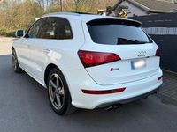 Gebraucht Audi SQ5 S-Line 313 PS (230 kW) 2014 Weiß SUV
