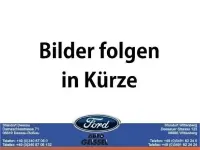 Gebraucht Ford Transit Trend 130 PS (95 kW) 2021 Andere