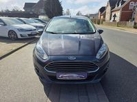 Gebraucht Ford Fiesta Trend 82 PS (60 kW) 2014 Grau Kleinwagen
