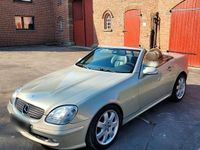 Gebraucht Mercedes SLK200 163 PS (119 kW) 2002 Andere farben Cabrio