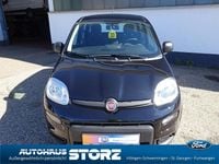 Gebraucht Fiat Panda 69 PS (50 kW) 2024 Colore esterno (cinema schwarz Kleinwagen