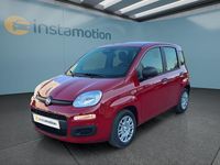 Neu Fiat Panda 65 PS (47 kW) 2025 Rot Kleinwagen