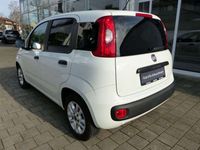 gebraucht Fiat Panda 1.2 Klima Bluetooth Alu NS MFL PDC ZR Neu