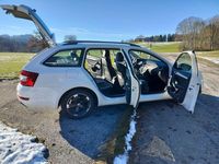 Gebraucht Skoda Octavia Elegance 150 PS (110 kW) 2014 Weiß Kleinwagen