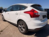 Używany Ford Focus Champions Edition 101 KM (74 kW) 2013 Biały Sedan/Limuzyna