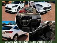 Gebraucht Ford Kuga Titanium X 190 PS (139 kW) 2022 Weiß SUV