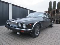 gebraucht Jaguar XJ12 