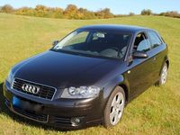 Gebraucht Audi A3 Ambition 102 PS (75 kW) 2003 Grau metallic Kleinwagen