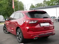 Gebraucht Ford Kuga ST-Line X 150 PS (110 kW) 2020 Andere SUV