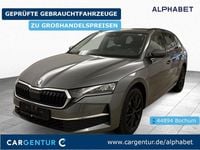 Gebraucht Skoda Octavia Selection 150 PS (110 kW) 2024 Graphit grau metallic Kombi