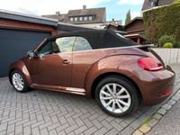 gebraucht VW Beetle 1.2 TSI DSG BMT SOUND Cabriolet