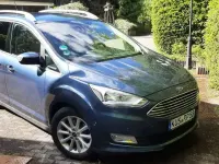Gebraucht Ford Grand C-Max 125 PS (91 kW) 2019 Van / Kleinbus