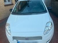 Gebraucht Fiat Punto 69 PS (50 kW) 2013 Weiß Kleinwagen