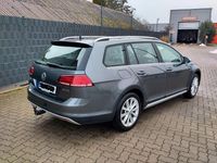 Gebraucht VW Golf Alltrack 184 PS (135 kW) 2019 Grau Kombi