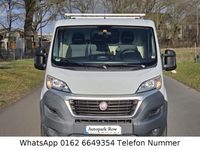 Gebraucht Fiat Ducato 116 PS (85 kW) 2015 Weiß Van