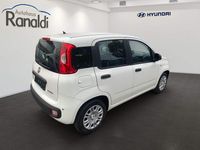 Neu Fiat Panda 69 PS (50 kW) 2025 Schwarz Kleinwagen