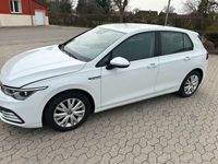 gebraucht VW Golf 8. 2.0L 1ST Edition