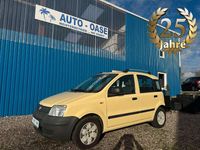 Gebraucht Fiat Panda Active 54 PS (39 kW) 2009 Giallo vaniglia/coriandolo Kleinwagen