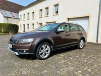 gebraucht Skoda Octavia Scout 4x4 Maple Brown