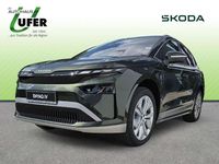 Neu Skoda Enyaq iV 150 kW (204 PS) 2026 Olibo grün SUV